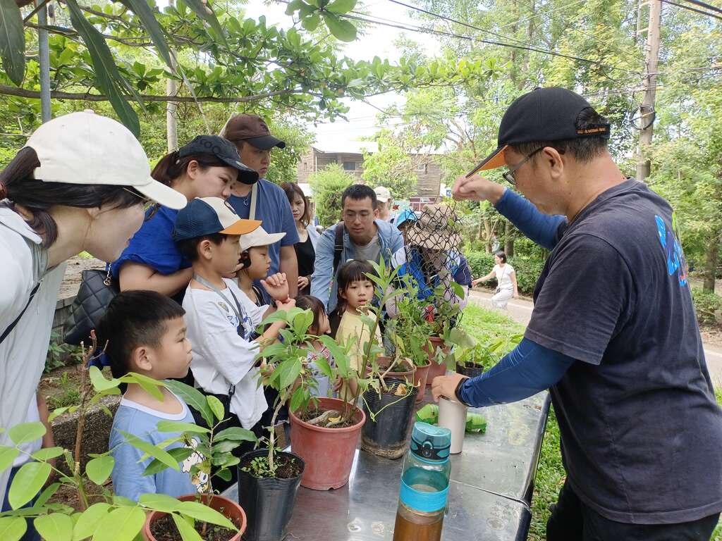 蝴蝶蜜源植物解说