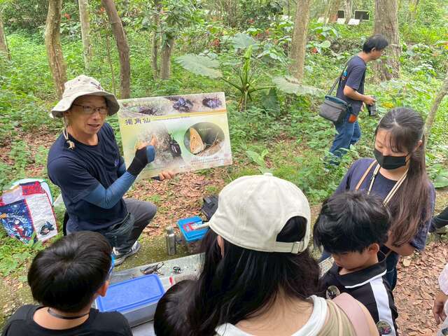 独角仙解说
