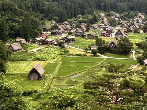 参访世界文化遗产白川乡合掌村