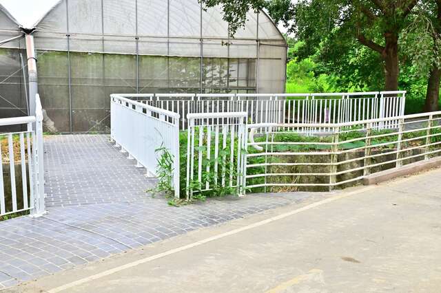人行跨越设施设置