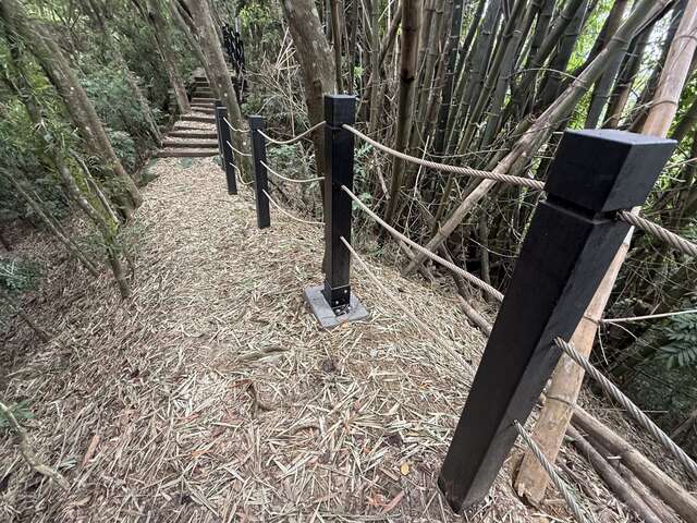 竹林秘境
