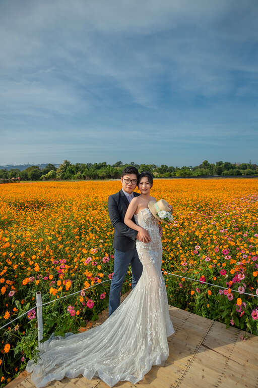 2025新社花海暨台中国际花毯节绝美婚纱摄影