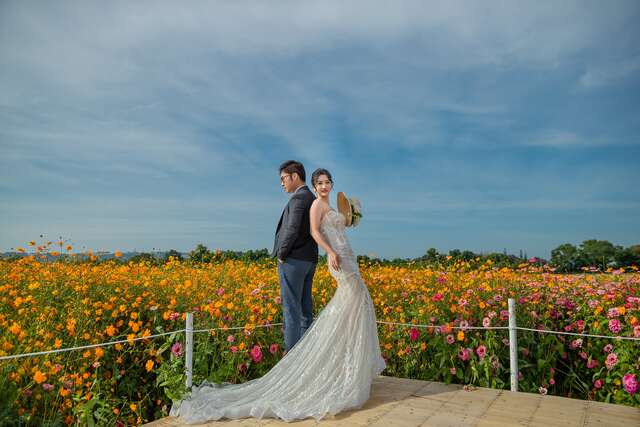 2025 新社花海暨台中国际花毯节绝美婚纱摄影