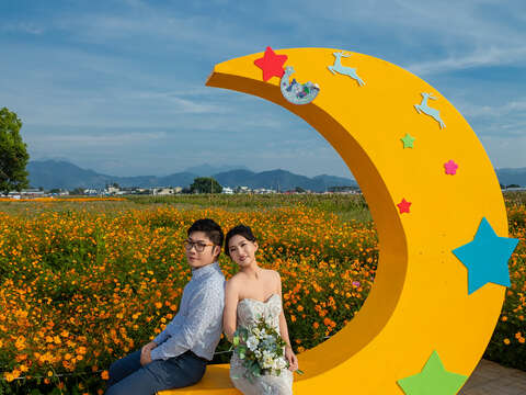 2025新社花海暨台中国际花毯节绝美婚纱 摄影