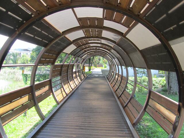 东势林业文化园区-景观桥
