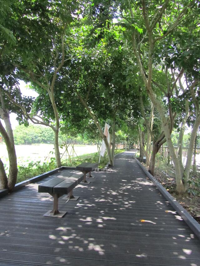 東勢林業文化園區-木棧步道