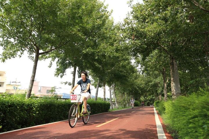 東豊自転車緑廊
