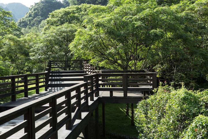 青桐林生态园区-木桥