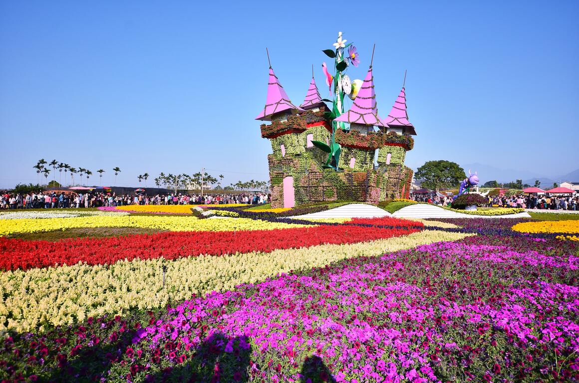 Sea of Flowers in Xinshe－Taichung Tourism