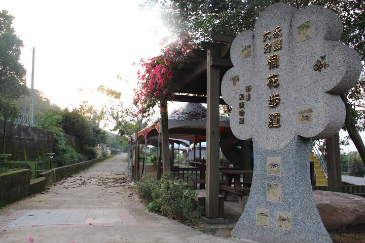 Yongfeng Village Tung Flower Trail
