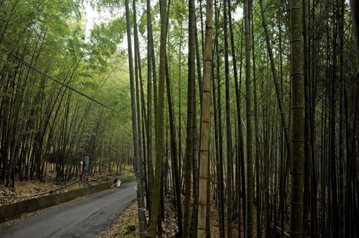 Hsuehshan Forest Recreation Area