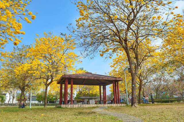 messageImage_1747884953824_0