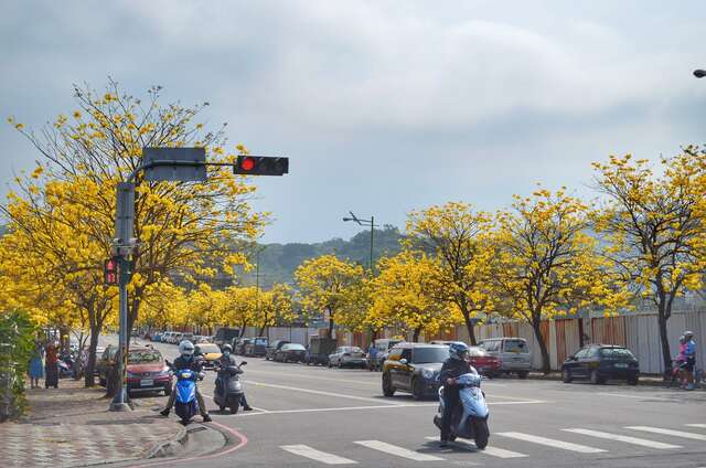 messageImage_1747884950679_0