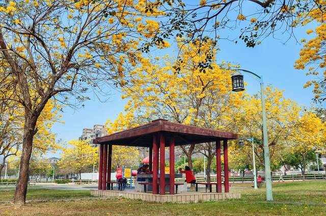 messageImage_1747884970821_0