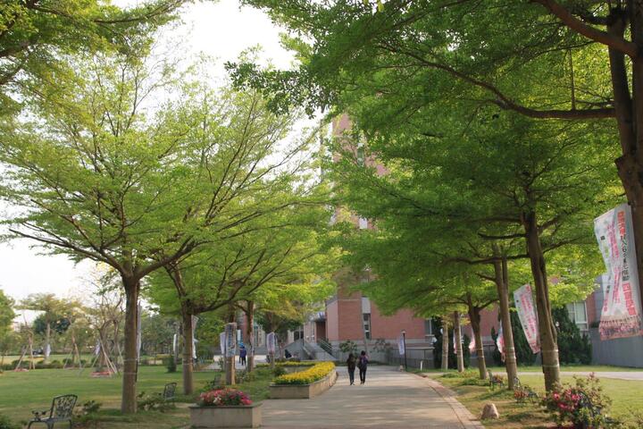 亞洲大學-樹木