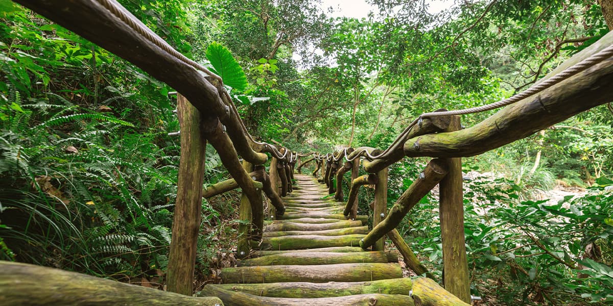 大坑3-1号登山歩道
