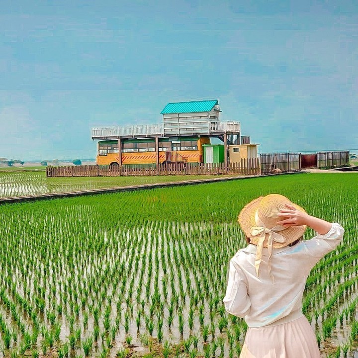 ⠀⠀⠀⠀⠀⠀⠀⠀⠀⠀⠀⠀
一年四季都有不同景色的外埔忘憂谷，生長在田中的水稻，再次探出綠色的新芽。
-
@f_love_c 438...