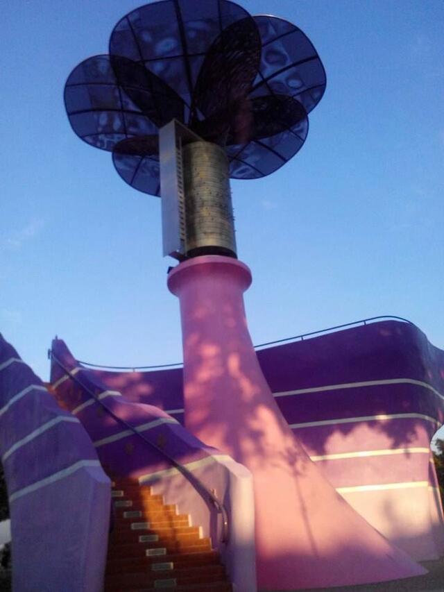 星愿紫风车