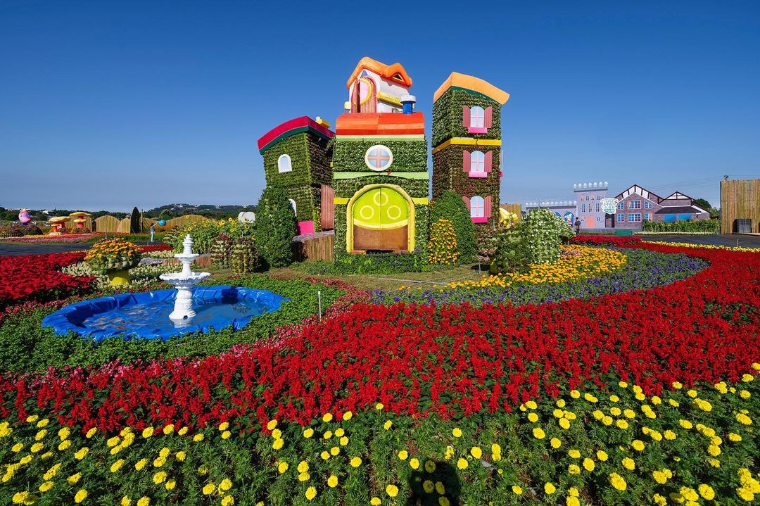 台中国际花毯节来了！来新社融入充满幸福的花园吧。