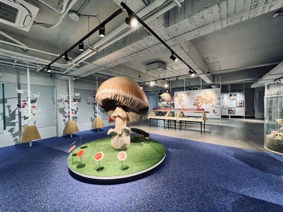 ＼台湾最大的 #菇类博物馆！到台中一窥菇类王国／