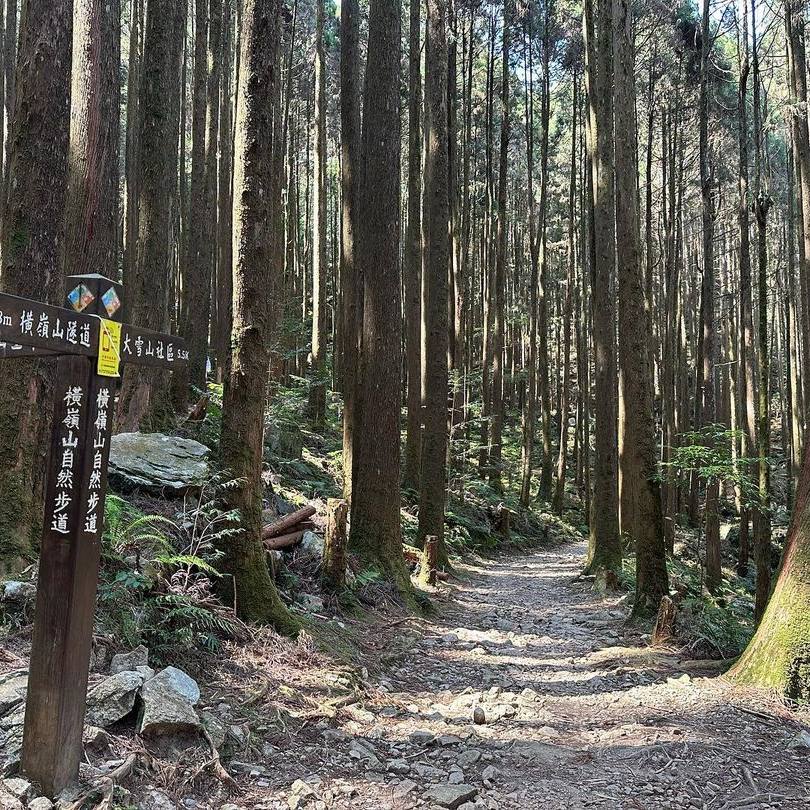 走入 #大雪山 日治時期的自然林道 "橫嶺山步道"