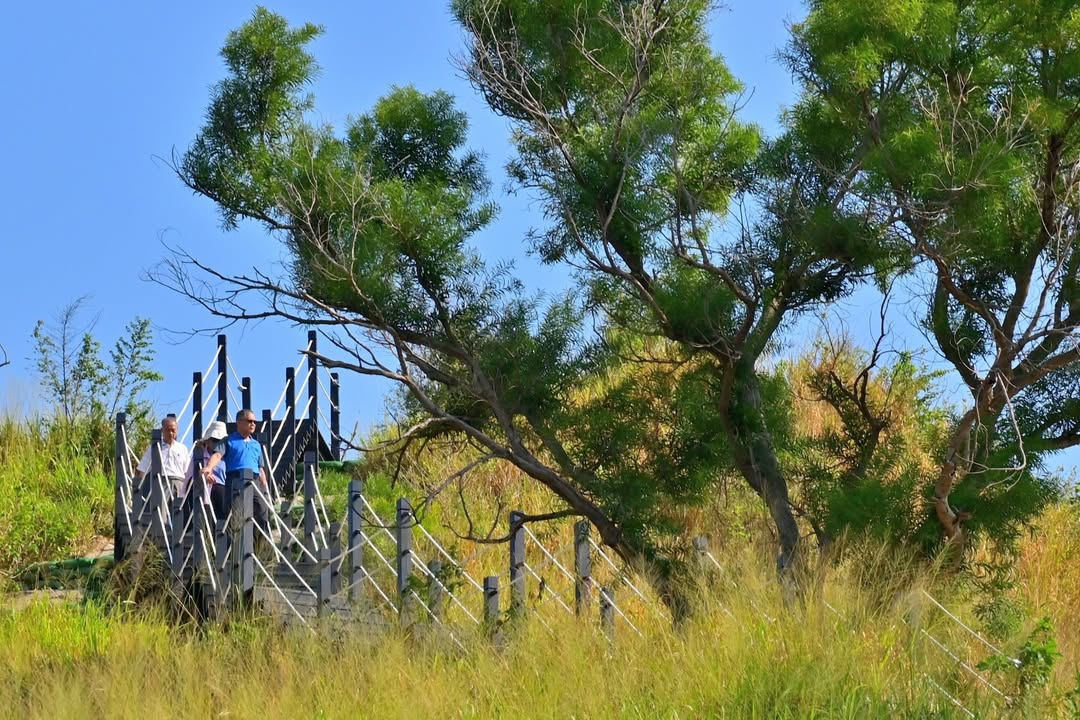 步道灾後升级 ​ 潭子新田登山步道、大肚区登山步道使用更安心🌟🌟🌟