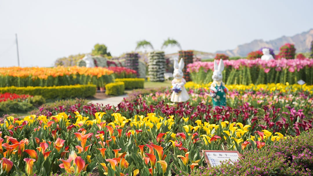 四月春暖花開賞花趣 🌸 中社觀光花市繽紛登場