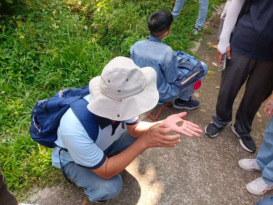 台中市风景区管理所携手「台湾紫斑蝶生态保育协会」，推动大坑生态园区友善生物多样性计画