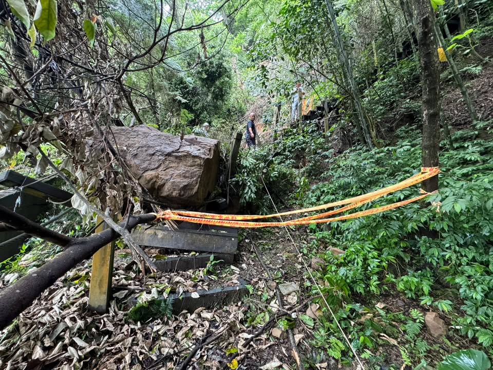 ‼️玩编紧急通知 ‼️