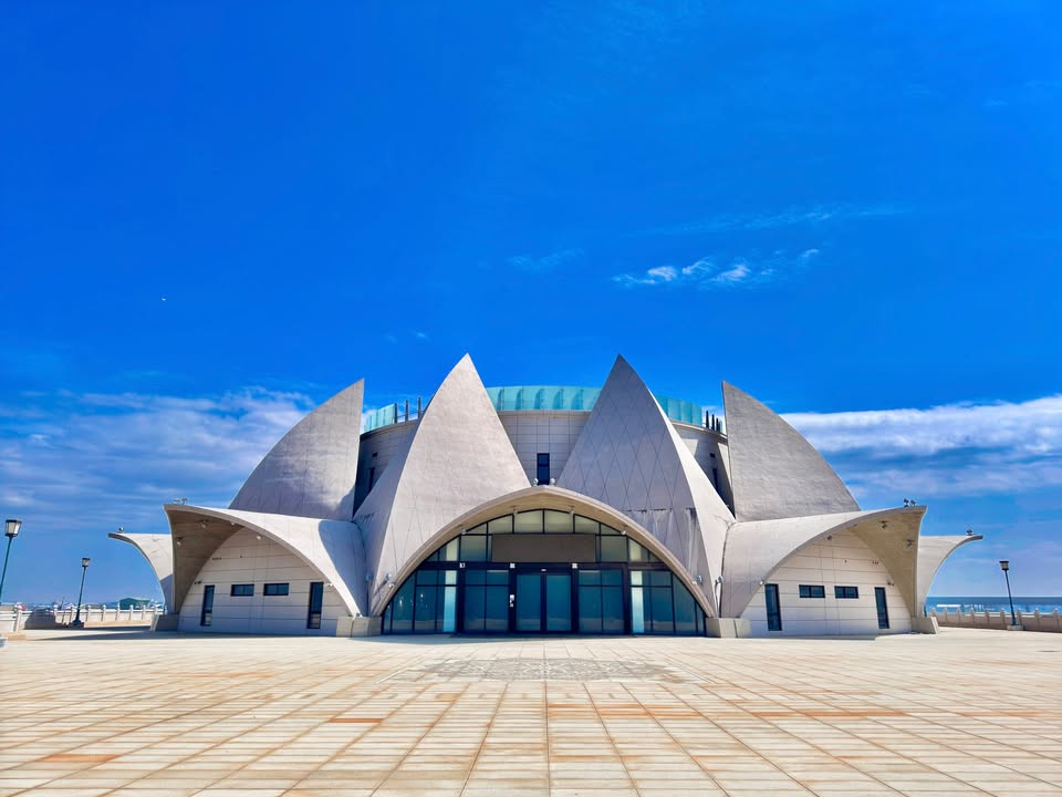 🌊【大安净滩热血登场💪一起守护我们的蓝色家园！】