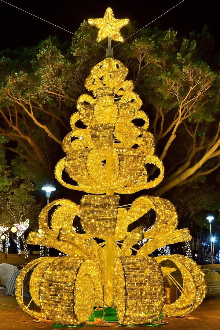 \ 冬夜最浪漫的風景,在沙鹿悄悄點亮 /