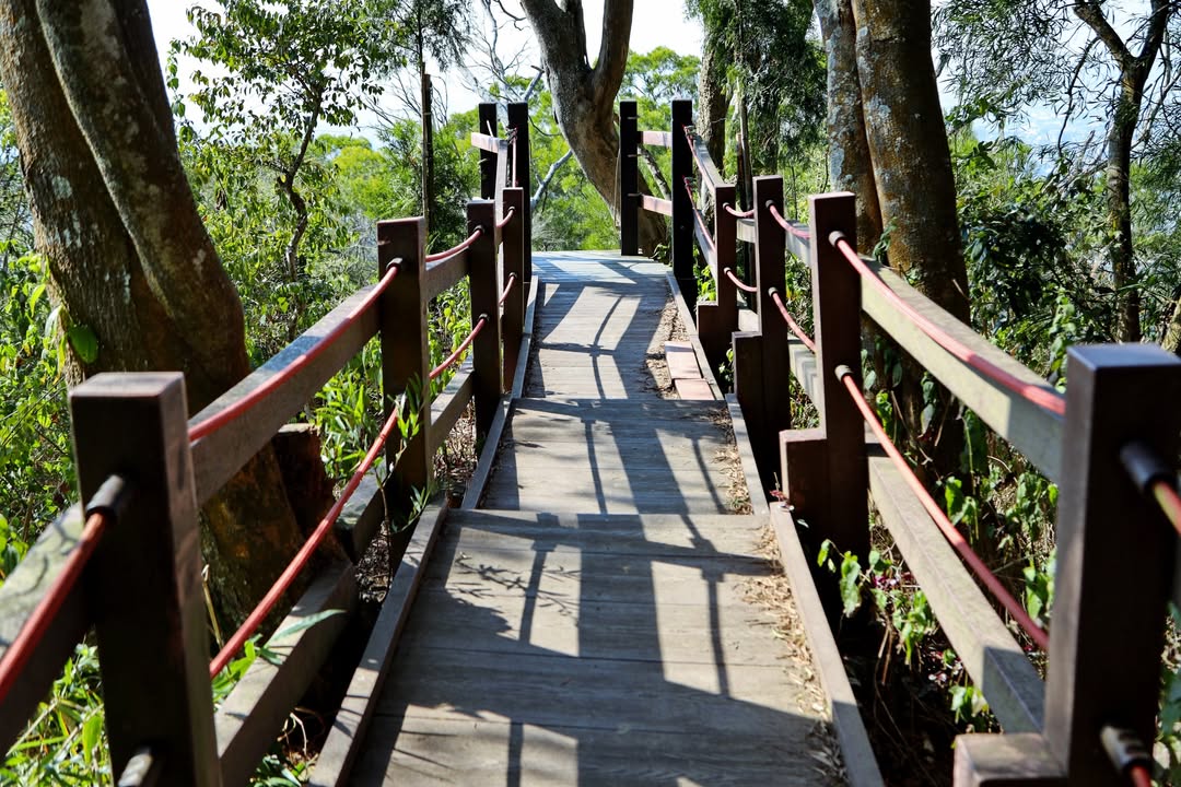 🚶♂️🌧 風災重創登山步道!市府積極啟動復建作業