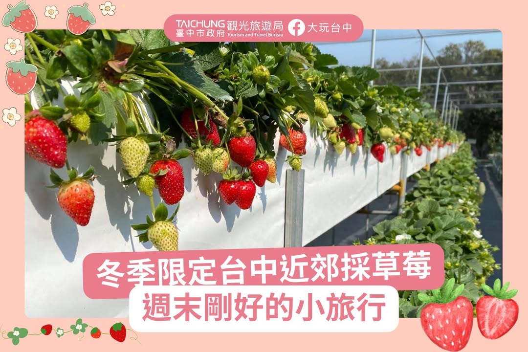 \ 冬季最甜蜜的約會，就在台中的草莓地圖裡 /