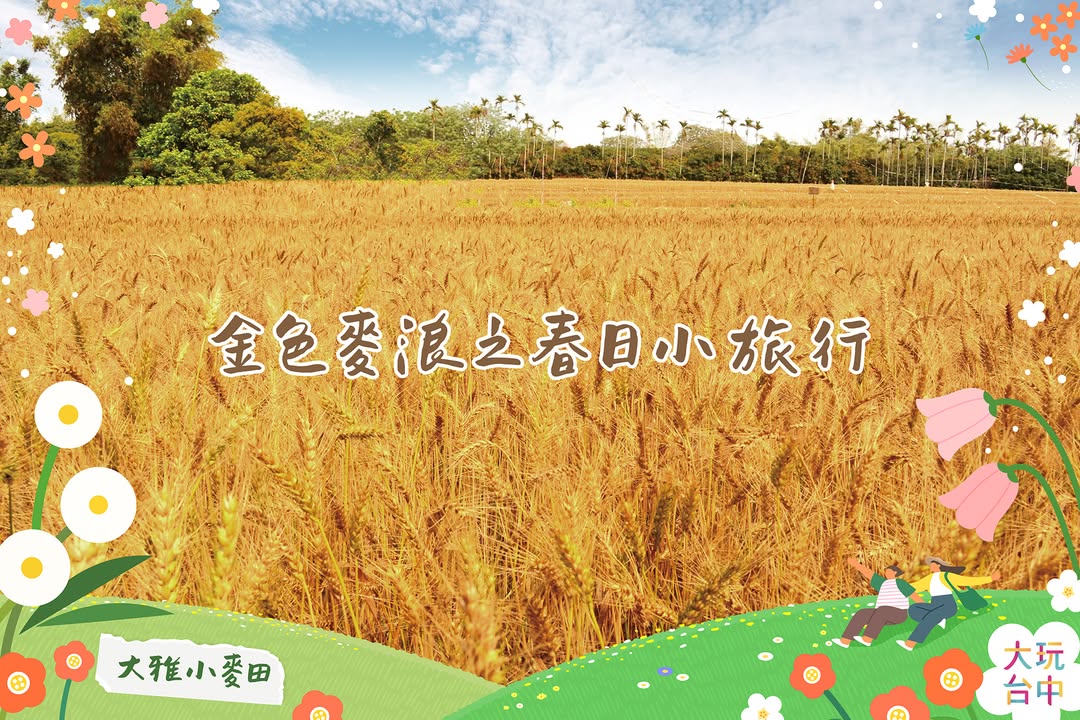 春日限定🌾大雅金色麦浪1日顺游全攻略