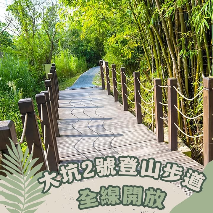 🌿台中山林好消息!#大坑2号登山步道 全线开放🌿