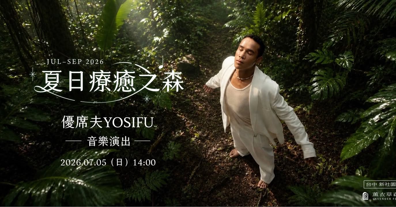 🌿【走进森林，找回内心的平静】🎶