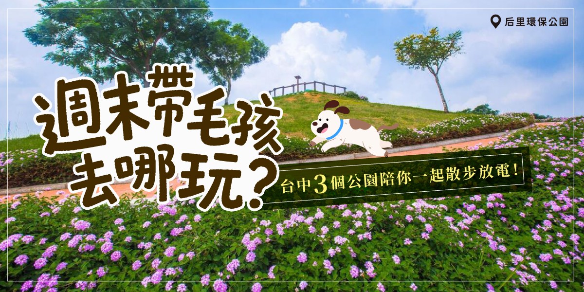 今天就帶毛孩出去放放風吧 ૮₍ ˶• ༝ •˶ ₎ა 🐾