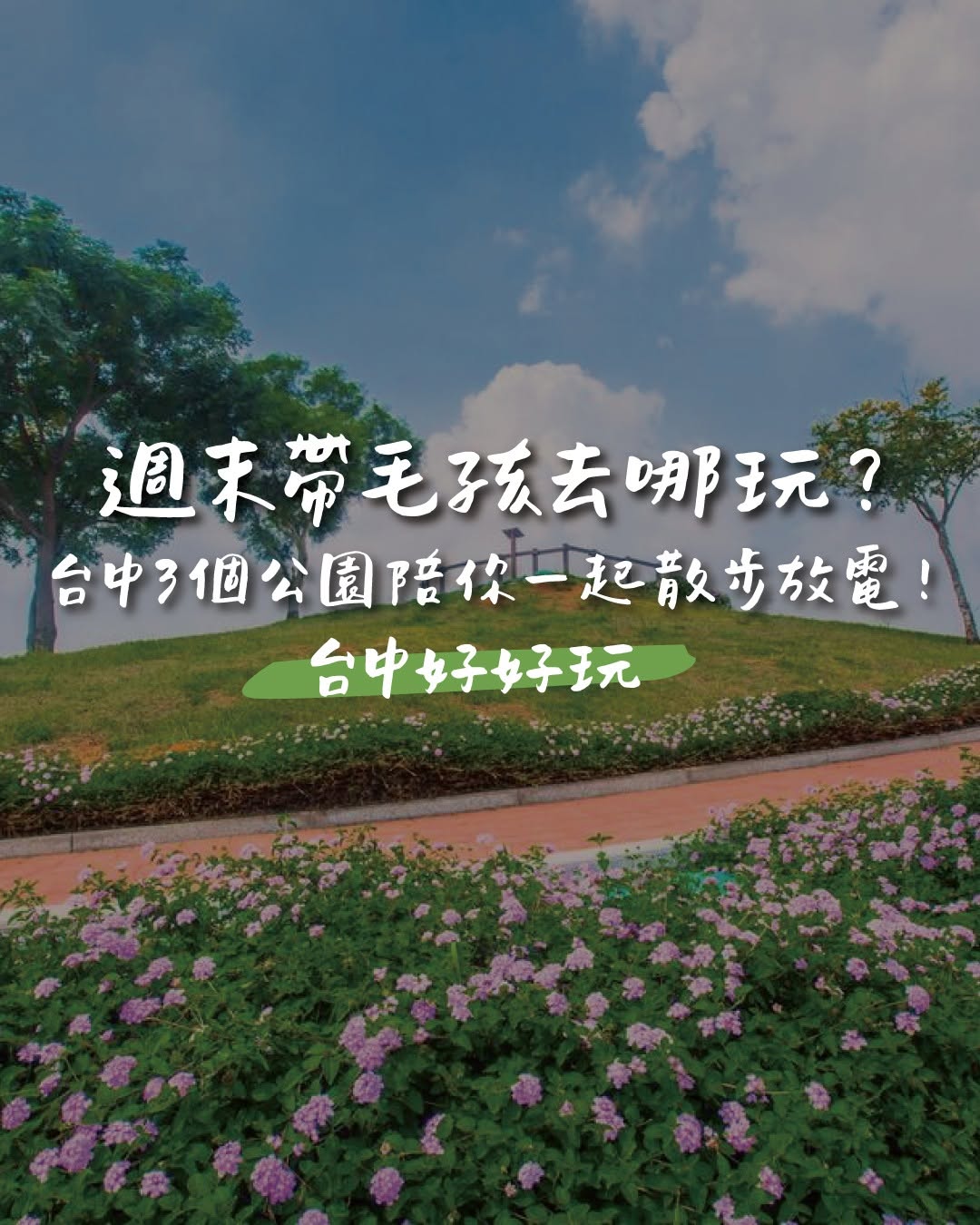 今天就帶毛孩出去放放風吧 ૮₍ ˶• ༝ •˶ ₎ა 🐾