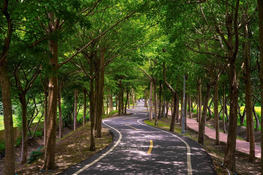 台中3大凉感自行车道🚲 绿荫、隧道、免费戏水全部玩