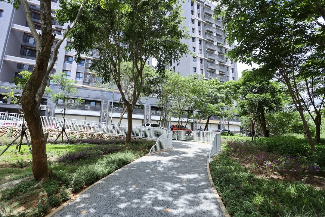 🌳✨【中科公园绿意再升级!散步、骑车、戏水一次满足】💦🚴