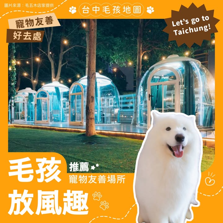 🐾 台中毛孩地图|推荐友善宠物场所