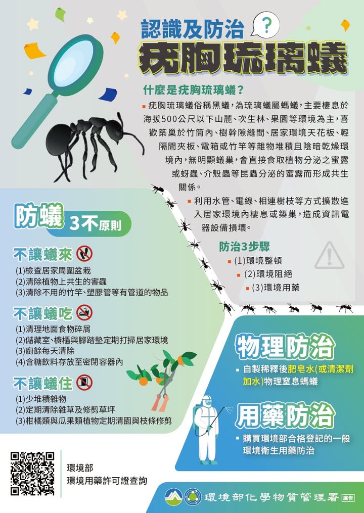 📢 夏日出游小提醒！认识疣胸琉璃蚁，一起守护户外环境 🌿🐜