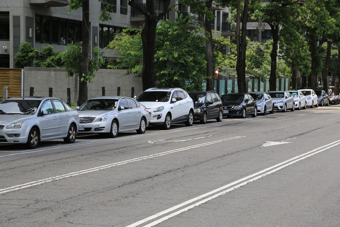 中市樹木全面盤點 林市長：市府優先移植危險黑板樹