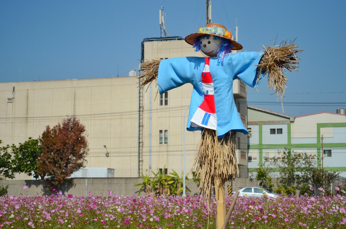 2020年春節去哪裡?台中景點報你知!(賞花篇)