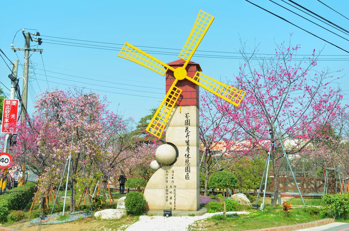 连假来一趟浪漫粉色之旅,台中樱花景点大公开!
