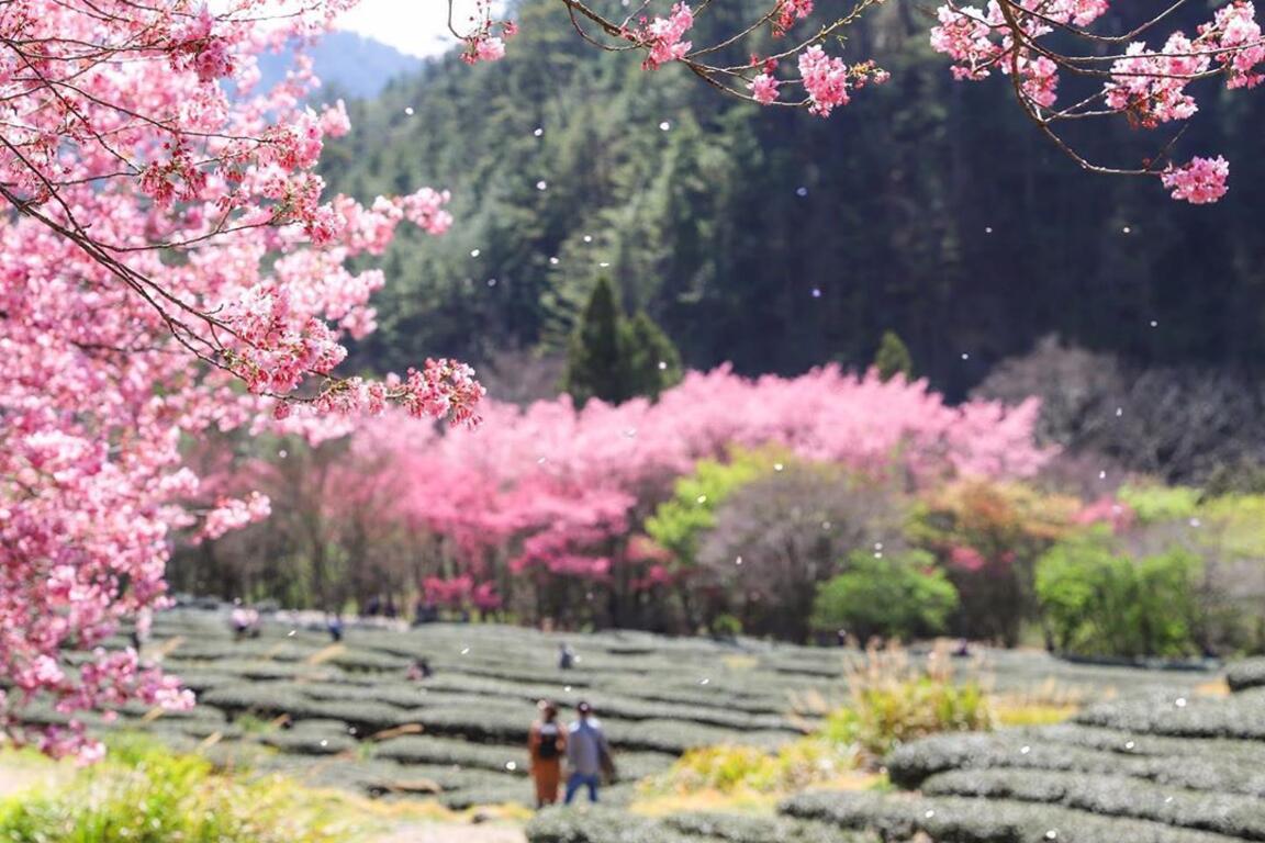 85104625_539394720018072_6092239554403941586_n