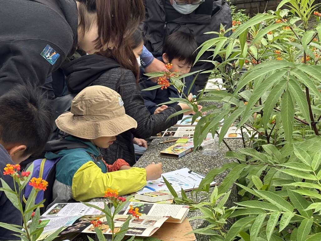 2026 大坑チョウとホタルのカーニバル