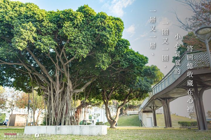 ＼水湳机场大变身！化身城市绿洲继续见证历史／​