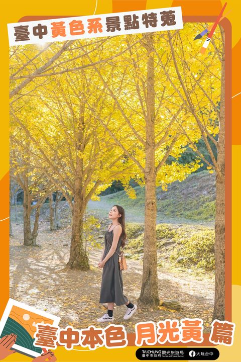 ＼灿烂的台中美景！你心中的台中是什麽颜色？／