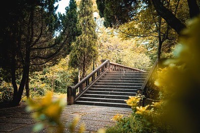 到台中步道走春！一步一脚印走出美好生活愿景。